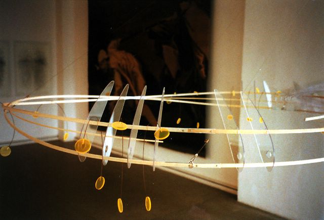 Skrze tělo - detail